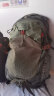 GREGORY格里高利NANO登山包徒步背包通勤轻便冲顶包双肩包-20L绿色 晒单实拍图
