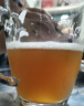 青麦（QINGMAI）啤酒 精酿原浆14度鲜啤扎啤 生啤 全麦黄啤1.5L大桶装青岛特产 1500mL 1桶 14°P鲜黄啤 实拍图