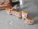 威尔逊馋嘴 加菲猫专用猫粮增肥缓泪痕幼成猫美毛亮肤猫粮 卵磷脂三文鱼冻干款5斤 实拍图