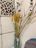 美学黑客 桃花 树枝装饰干花枝干花花束真花干枝干花客厅装饰落地干花树枝 蓝色单支含6朵花 长60-80厘米 实拍图