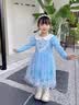 蓓然美爱莎公主裙春夏2026艾莎网纱裙女童连衣裙儿童聚会服生日礼物 蓝裙+披纱 110 实拍图