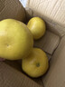 黄金葡萄柚2024年新鲜柚子当季水果福建黄肉蜜柚甜西柚整箱 带箱9斤中果【9-12个】 实拍图