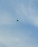 喜立风筝线轮儿童成人潍坊微风易飞大型户外亲子儿童玩具送300米线轮 实拍图