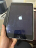 Apple苹果 iPad Air1/Air2/Air3 迷你mini2/4/5 二手平板电脑ipad mini4 128G WiFi版  95成新 实拍图