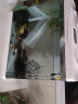 森森（SUNSUN）鱼缸水族箱桌面生态金鱼缸玻璃迷你小型客厅懒人免换水家用缸 (高清玻璃)白色 60cm长 (带20件套) 实拍图