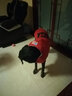CHUKCHI楚克奇中大型犬衣服大狗衣服大狗冬装狗狗棉衣金毛拉布拉多 红色 36号颈围68CM*胸围96CM*背长75CM 实拍图