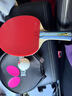 蝴蝶Butterfly乒乓球拍八星级8系列单拍专业芳碳底板快攻横拍比赛训练 501横拍【纯木底板】送球+拍套 实拍图