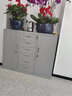 豫基恩文件柜加厚铁皮柜矮柜储物柜办公柜工具柜抽屉柜茶水柜小柜子带锁 加厚 宽中六下节矮柜 实拍图