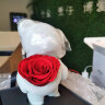 西罗斯（SEEROSE）永生花爱心站立保鲜玫瑰熊花束520情人节送女生朋友表白生日礼物 将心予之-嫣红(支持代写贺卡) 晒单实拍图