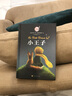 小王子中文版 精装朗读版 世界经典文学名著阅读 中小学语文课外读物 实拍图