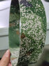 泉大（QUANDA）帽撑 帽撑圈2种1色通用全撑训练半撑迷彩帽子内撑定型帽托帽圈 夏季星绿 训练用(宽4cm) 实拍图