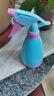 易囍艺 浇花喷壶家用酒精喷壶消毒喷雾器彩色细雾喷水壶气压式洒水喷壶 糖果喷壶500ml*2个（颜色随机） 升级款 实拍图