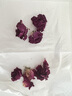 广东省中药研究所玫瑰花茶大朵精选山东平阴重瓣无硫熏养生茶罐装大朵花冠泡水茶干 玫瑰花冠（15g/1瓶）*2瓶 实拍图