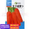 元井汇（YUANJINGHUI）蔬菜种子四季播盆栽阳台庭院香菜生菜菠菜小葱简单秋易种籽孑大全 上海青（约3200粒） 实拍图