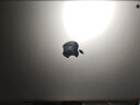 苹果（Apple）ipad9代苹果平板电脑ipad2021第九代10.2英寸WLAN款 银色 256G 标配+手写笔+壳膜 实拍图