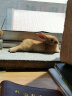 朗缤 兔子活体宠物兔活体新西兰肉兔公主兔小白荷兰侏儒活物兔子宠物 黄色猫猫兔1只 实拍图