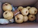 莹多爱【官方补贴】 砀山梨 老树梨子 生鲜水果砀山梨 安徽特产酥梨 10斤优选装（净重8.5斤） 实拍图