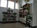 第一森林书架简易靠墙落地置物架家用柜子客厅展示柜分层置物柜图书馆书柜 【送货上门加厚】田园橡木色80 实拍图