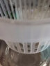 MODX自吸水花盆水培植物透明玻璃花瓶水养绿萝盆栽圆球形小鱼缸 20D圆球带加深水培篮 中等 晒单实拍图