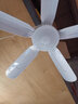 中联（ZOLEE）电风扇迷你微风扇小风扇小电扇小吊扇家用办公室工业学生宿舍床头蚊帐 5叶70cm+【2米遥控定时线】 实拍图
