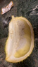 京鲜生 泰国进口金枕头榴莲 2.5-3kg 1个装 新鲜水果 实拍图