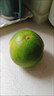 攸竹新鲜青皮葡萄柚子 黄金葡萄柚 爆汁葡萄柚 青皮西柚皮薄多汁肉嫩 5斤 普通装 实拍图