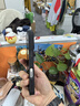 东来也「富瘦双全」鎏金工艺适用苹果16Pro手机壳新款防摔iPhone16Pro高级感国潮原创个性2024磁吸外壳 实拍图