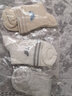 迪士尼（Disney）儿童袜子女童春秋棉袜宝宝幼儿小孩中筒短袜 【春秋款】女童5双装3901 20-22cm/适合8-10岁 实拍图