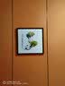 紫腾随轩齐白石装饰画新中式客厅背景墙面挂画卧室饭厅餐厅水墨虾壁画实木 白菜 50*50cm（有机玻璃）（默认红木色框） 实拍图