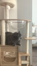 唐米吉吉加粗大型猫爬架猫窝猫树一体太空舱猫架子小户型不占地剑麻猫玩具 【冲量钜惠】124cm 6层跳台木屋 实拍图