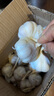 【手挑精选】新干大蒜2025干大蒜干蒜头紫皮蒜多瓣蒜白蒜种籽批发 干大蒜 5斤 中大果4cm以上 实拍图