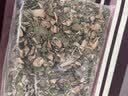 靠农庄 金线莲正宗深山老林采摘福建南靖林下种植整株干品 金线莲【100克圆礼盒】 100g*1盒 实拍图