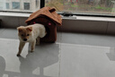 珑小宠  猫窝狗窝冬季宠物房子可拆洗四季通用狗猫房子小型犬泰迪狗屋 棕色S号 实拍图