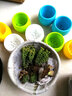 若绿真便宜多肉好养老桩绿植花卉小苗肉肉花植物小盆栽清棚 生石花(0.8-1厘米) 含盆+土 实拍图