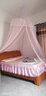 以美家纺 欧式圆顶蚊帐 落地吸盘吊顶蚊帐 宫廷公主床幔 花漾粉白 1.8m床 实拍图