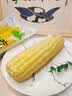 骑猴赶马漳州牛奶玉米【顺丰】生吃即食玉米新鲜采摘代餐爆浆牛奶水果玉米 【顺丰/JD】牛奶玉米 1.1斤 【2根】 【约2根】 实拍图