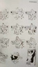 皮德漫画 实拍图