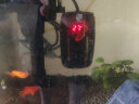 疯狂石头 鱼缸加热棒自动恒温 低水位小型乌龟变频加热器防爆电大型保温棒 50W（ AI智能变频+安全省电） 实拍图