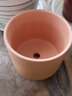 花盆 陶土红陶花盆圆柱形带托盘多肉绿萝简约鲜栽仙人掌陶瓷泥瓦 小号带托盘【11x10.3】 红陶 实拍图