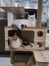 珑小宠猫爬架猫窝加粗大型猫树一体太空舱猫架子小户型不占地麻绳猫玩具 145cm 5层 【双太空仓多窝T4款】 实拍图