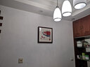 紫腾随轩齐白石装饰画新中式客厅背景墙面挂画卧室饭厅餐厅水墨虾壁画 樱桃 40*40cm红木色实木框 实拍图