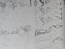 中国画白描描摹本 升级版 工笔画入门描红本 勾线笔毛笔画 人物 山水 花卉 动物 成人自学零基础 国画临摹画帖 白描画本 线描底稿本 中国画白描四本套装 实拍图