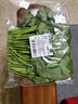 东升 【39.9选4】有机奶白苗 250g 有机蔬菜 火锅食材  广东源头直发 实拍图