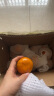 华味仙广西沃柑橘子贡柑贡橘沃柑新鲜水果当季时令生鲜 5斤装 实拍图