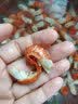 龙虾尾新鲜冷冻鲜活速冻大号麻辣小龙虾尾 1斤龙虾尾【不带料包】 实拍图