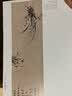 经典全集 郑板桥画集 8开中国画临摹画册书籍技法教材竹子画兰花书画字画书法临本写意花鸟 实拍图