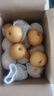 闽域寻鲜山东莱阳秋月梨当季新品羊脂老树秋月梨整箱送礼水果秋月梨 9斤【店长力荐 单果250g+】净重8.5斤 【梨子爱好者首选】 实拍图