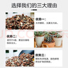 尚洋虹彩石2.5kg 多肉土颗粒铺面石美观园艺无土栽培基质植物种植基质 实拍图
