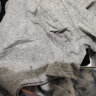南极人男士内裤男式纯棉平角裤头5A级抗菌防螨四角男生短裤衩4条XL 实拍图