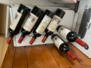 罗曼庄园法国超级波尔多干红葡萄酒750ml*6整箱【京东直采】 实拍图